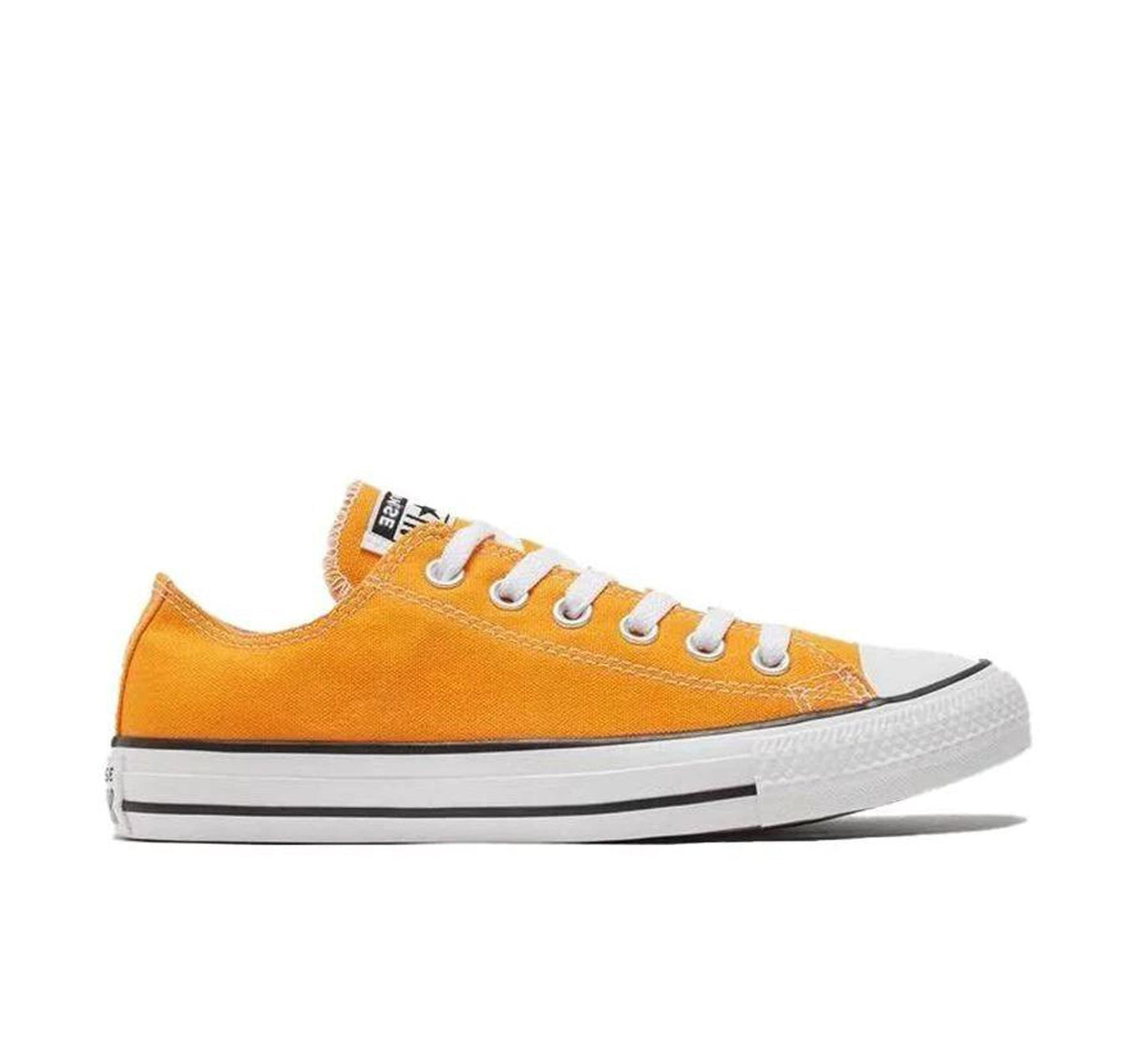 Converse All Star Canvas